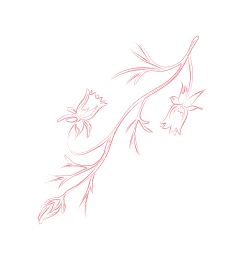 满贯体育